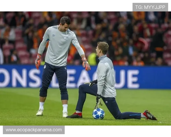 下载凯发体育手机版最新版，享受高清流畅的体育比赛观看体验